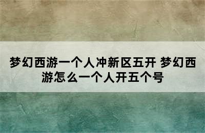 梦幻西游一个人冲新区五开 梦幻西游怎么一个人开五个号